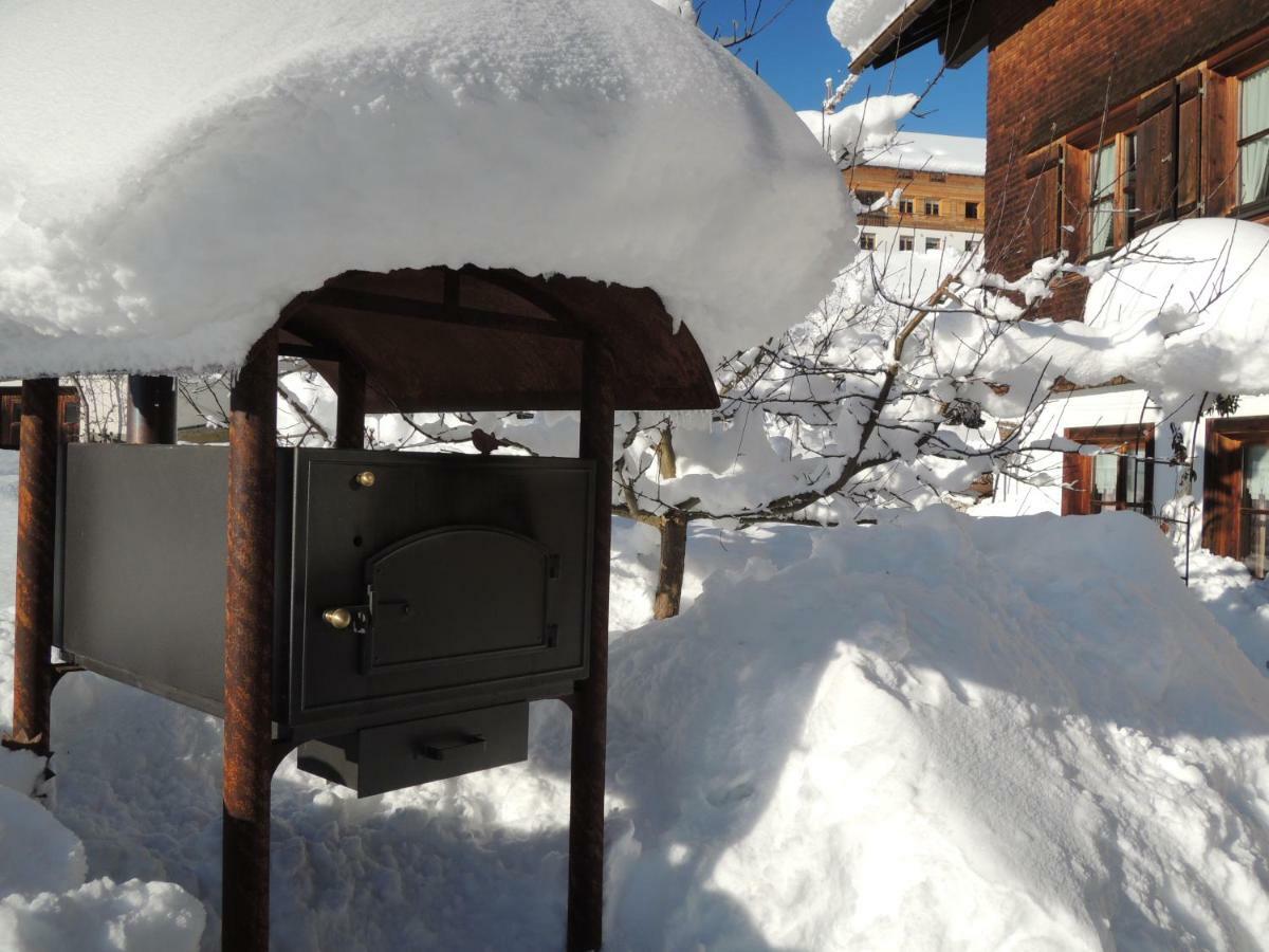 Appartements Karin Mitten Im Gruenen Schoppernau Exteriör bild