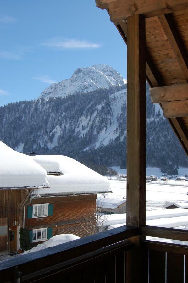 Appartements Karin Mitten Im Gruenen Schoppernau Exteriör bild