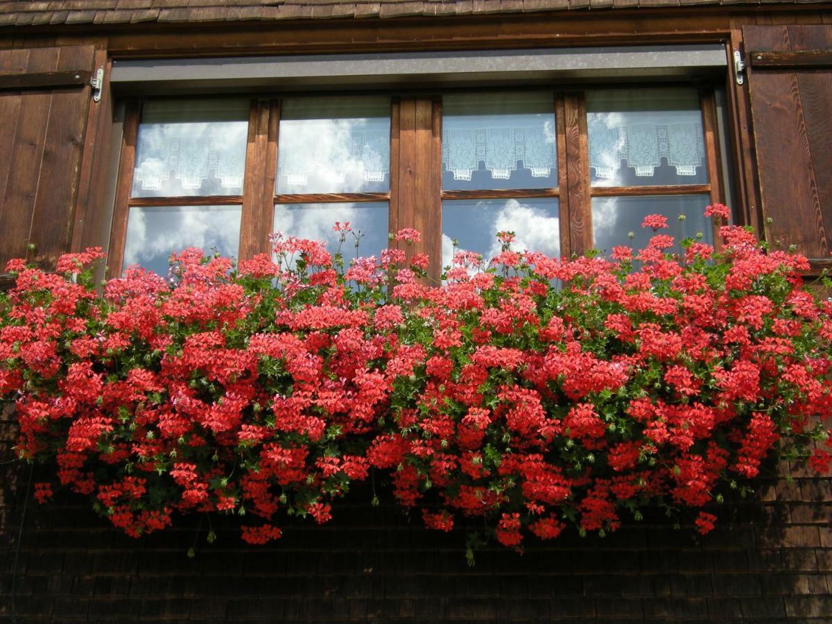 Appartements Karin Mitten Im Gruenen Schoppernau Exteriör bild